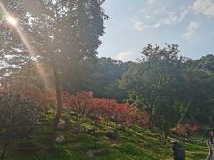 -广州市帽峰山景区