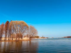 -贡湖湾湿地公园