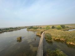 -盐城丹顶鹤湿地生态旅游区