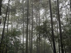 -窦圌山风景区