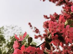 -太阳宫公园