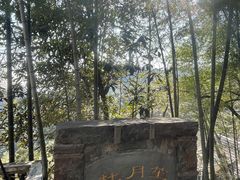 -莫干山风景区