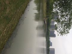 iphone_upload_pic-南翔镇银翔湖公园