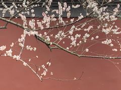 -钱王祠