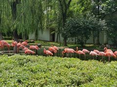 -石家庄市动物园