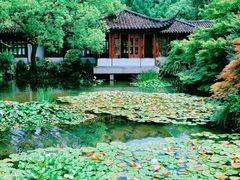 -杭州植物园