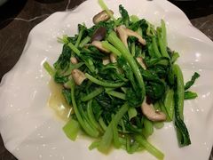 香菇鸡毛菜-冶春茶社(星汉大厦店)