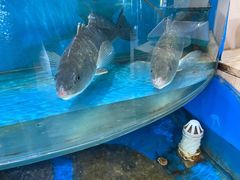 -顶之鲜海鲜餐厅