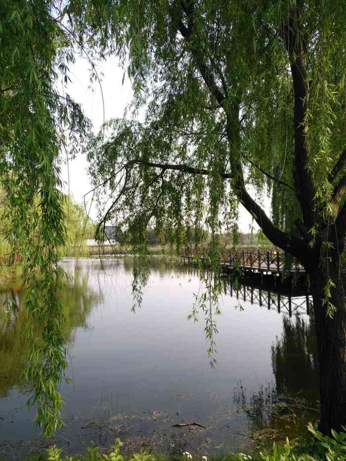 清园生态农庄-"【清园半日游】全家四代出动的野米饭,因气.