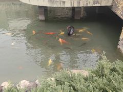 -芭东小镇温泉