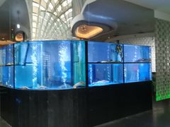 -王家渡火锅店(棕榈泉店)