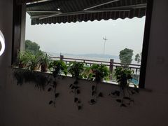 -美味之家·湖景农家乐(太湖东山店)
