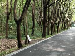 -同里国家湿地公园