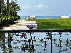 -三亚海棠湾万丽度假酒店