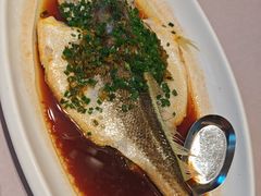 -梦都海鲜酒家(万达广场江桥店)