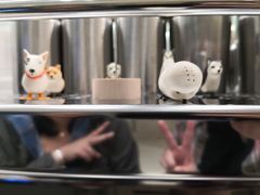 -Seesaw Coffee(上海国金中心店)