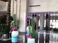 -常州环球恐龙城维景国际大酒店