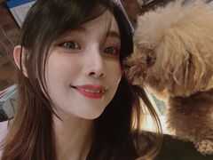 -more than meow吴止猫主题餐厅(承德 中船汇店)