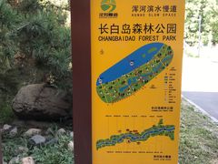 -长白岛森林公园