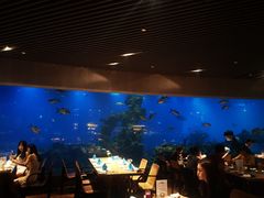 -海棠湾洲际-涛·海底餐厅·美人鱼·自助餐·海底隧道