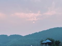 -望湖烤鱼