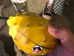 -油麻地果栏