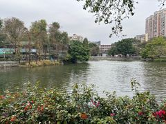 -荔湾湖公园
