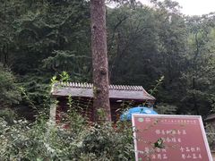 -北京上方山国家森林公园