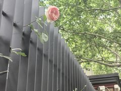 -曼曼汤包(建国西路店)