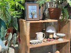 -自由生长植物工作室(深港花卉中心店)