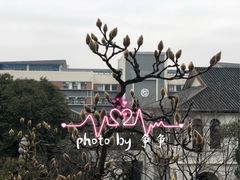 -锡师附小学(学前街校区)