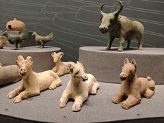 -广西壮族自治区博物馆