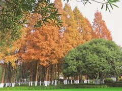 -天一阁博物院