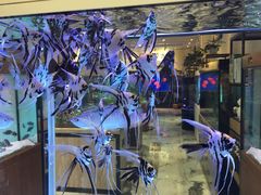 -青石桥市场北1-27号