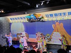 -成都浩海立方海洋公园