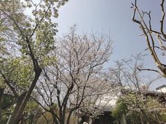 -堤角公园