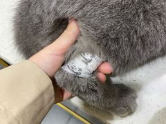 -宠爱国际维尼动物医院·疑难骨科·神经外科·肿瘤科(丰潭路店)