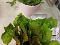 -羊家胡同·龙虾烧烤火锅(龙汇路店)
