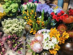 -双季花艺园艺市场(浦东店)