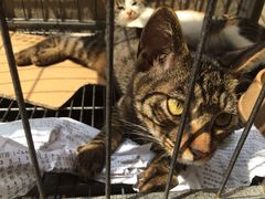 iphone_upload_pic-沐恩堂