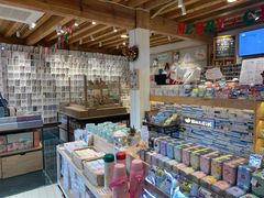 零售区-猫的天空之城概念书店(丽江古城饮玉巷店)