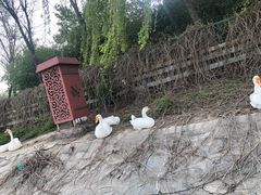 -西安汉城湖景区