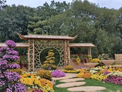 -上海共青森林公园