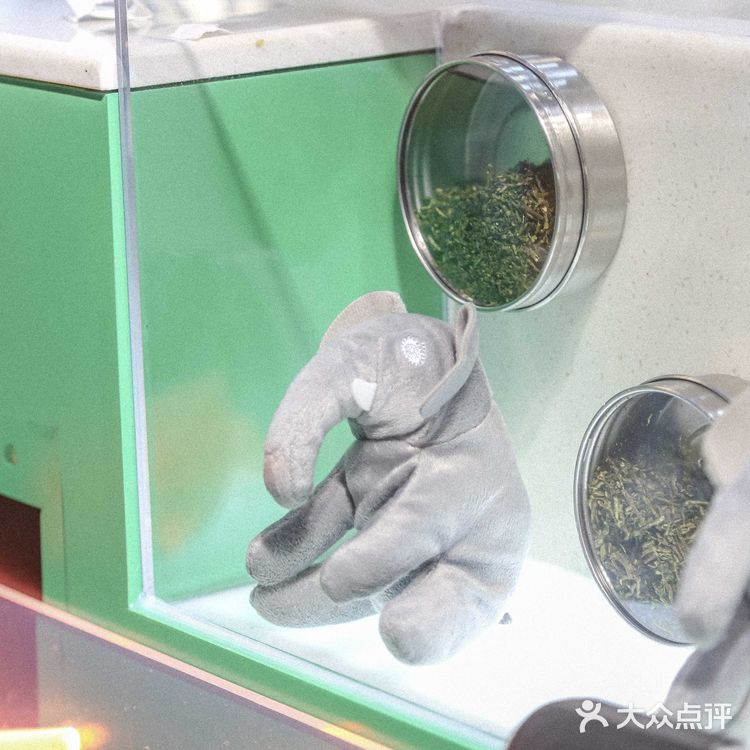 他家奶茶口感不一般的独特,必打卡袋装奶茶