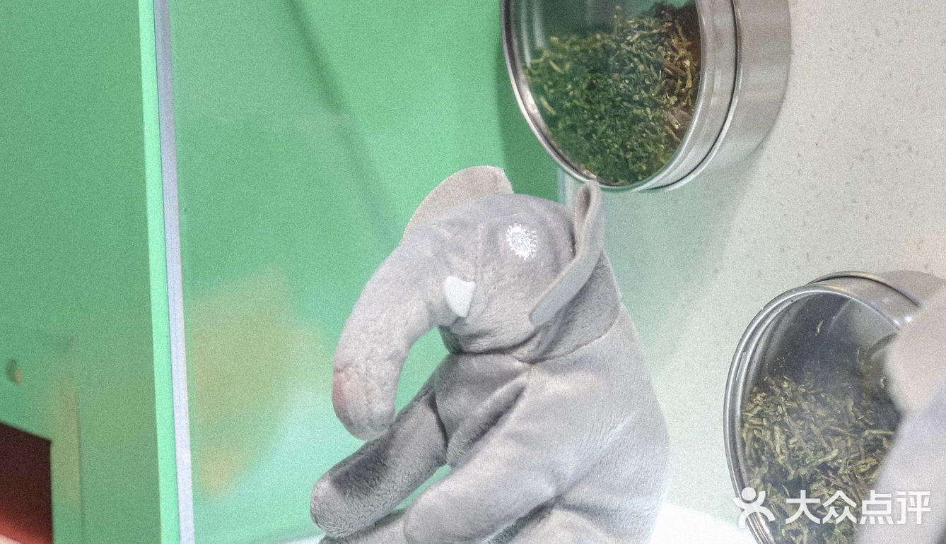 他家奶茶口感不一般的独特，必打卡袋装奶茶