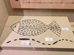 -巴音郭楞蒙古自治州博物馆