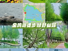 -金鸡湖景区