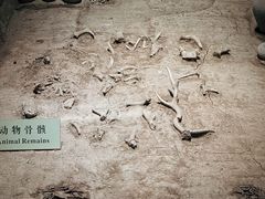 -汉景帝阳陵博物院