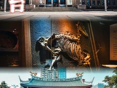 -烟台市博物馆