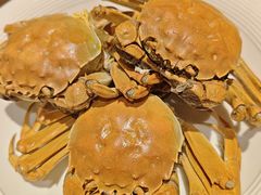 -红蕃干锅·脆皮香辣虾(南屏街金鹰店)